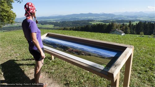 Buchberg Naturpark bei Obertrum, Schautafeln am Wanderrastplatz und am Gipfel