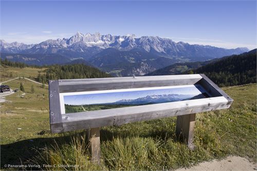 Dachsteinblick Trinkeralm, Schautafel in Lärchenholzrahmen