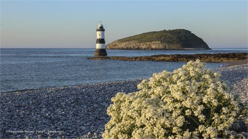 Lighthouse vor Puffin Island