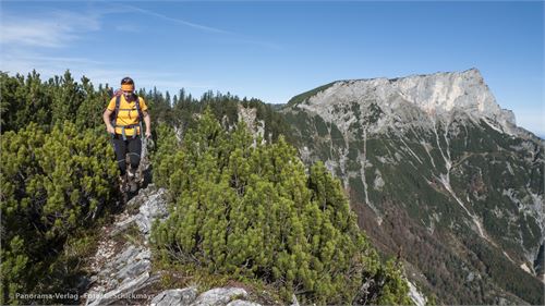 Auf der Schneid zu den Rauhenköpfen wandert man durch dichte Latschenbestände