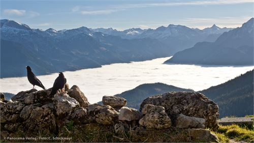 Blick vom Scheibenkaser, Untersberg Südseite, auf das Nebelmeer über Berchtesgaden