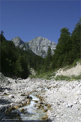 Durch das Reintal Richtung Musauer Alm