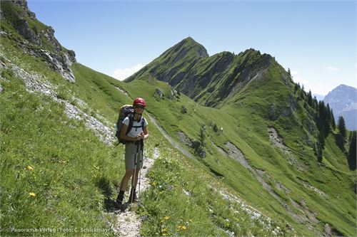 Vom Sabachjoch führt der schmale Steig zur Tannheimer Hütte. Im HIntergrund die Gehrenspitze, 2163 m