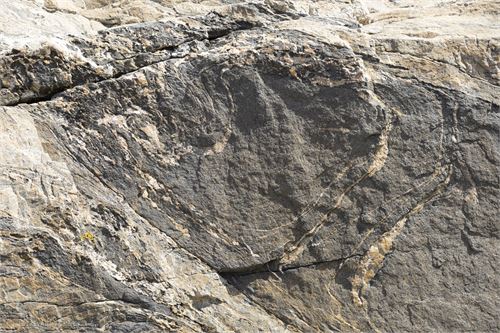 Bild 2, Felszeichnungen an der Küste von Nordnorwegen nach Lauvsnes