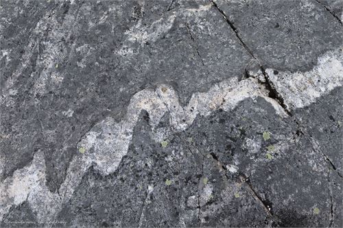 Bild 5, Felszeichnungen an der Küste von Nordnorwegen nach Lauvsnes