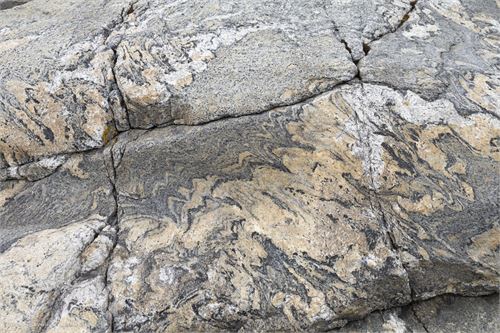 Bild 10, Felszeichnungen an der Küste von Nordnorwegen nach Lauvsnes