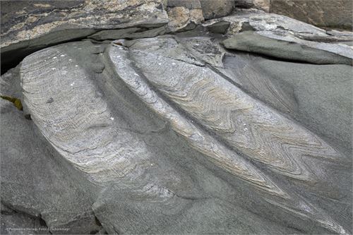 Bild 13, Felszeichnungen an der Küste von Nordnorwegen nach Lauvsnes