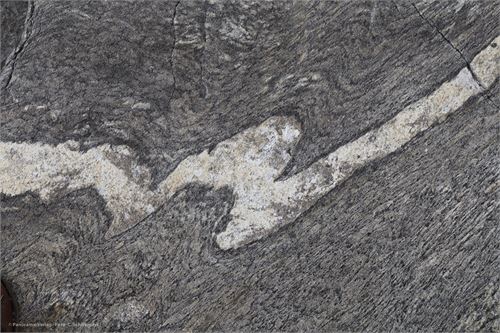 Bild 14, Felszeichnungen an der Küste von Nordnorwegen nach Lauvsnes