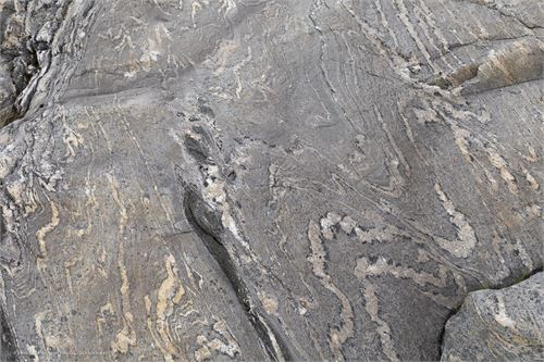 Bild 16, Felszeichnungen an der Küste von Nordnorwegen nach Lauvsnes