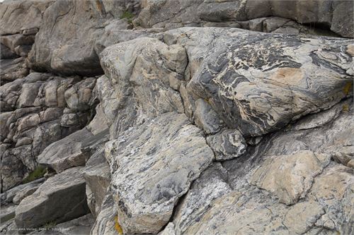 Bild 18, Felszeichnungen an der Küste von Nordnorwegen nach Lauvsnes