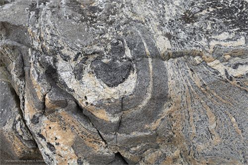 Bild 19, Felszeichnungen an der Küste von Nordnorwegen nach Lauvsnes