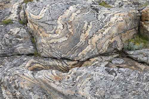 Bild 20, Felszeichnungen an der Küste von Nordnorwegen nach Lauvsnes