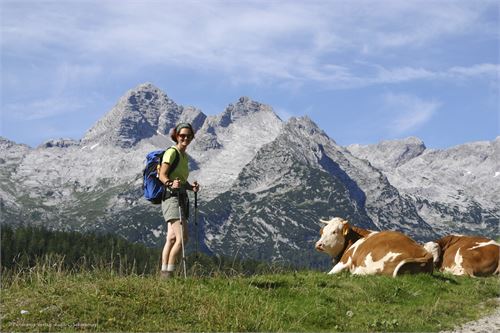 Anstieg zu den Kallbrunnalmen