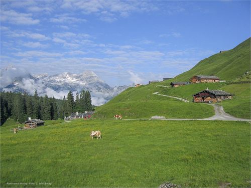 Die Kallbrunnalmen oberhalb von Weissbach bei Lofer