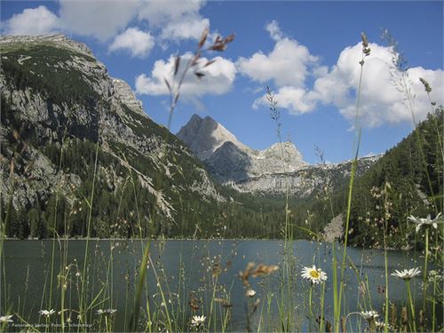 Diesbachstausee mit Großen Hundstod