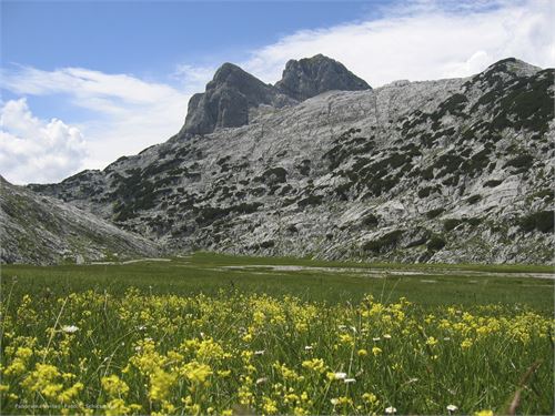 Im Hochwiestal, vulgo Schnittlauchtal