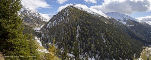 Bild 8 · Panorama von den Oberstalleralmen bis zu den Kamelisenalmen, aufgenommen oberhalb des Klapfbachfalles.