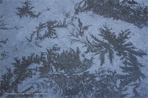 Bild 23 · Eisblumen im Asphalt, aufgenommen im März in Trondheim