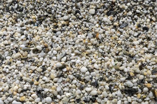 Bild 27 · Kiesstrand auf der Insel Euböa, Griechenland