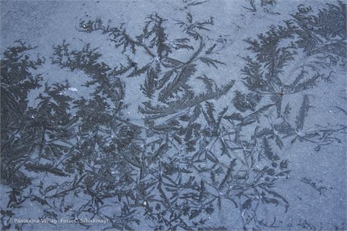 Bild 24 · Eisblumen im Asphalt, aufgenommen im März in Trondheim