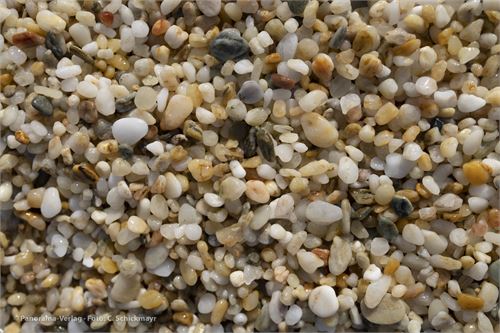 Bild 26 · Kiesstrand auf der Insel Euböa, Griechenland