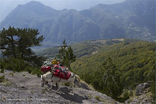 Am Weg zum Valbona-Pass