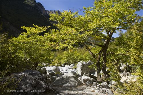 Die romantische Vikos-Schlucht im Norden von Griechenland