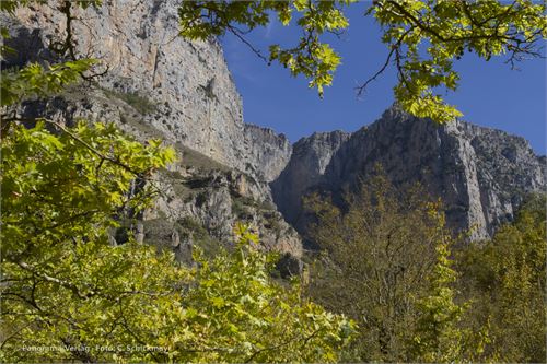 Die romantische Vikos-Schlucht im Norden von Griechenland
