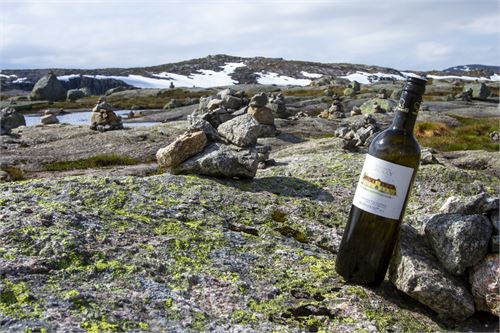 Bild 2 · Weinviertel DAC auf Kraftplatz am Kjerag, Südnorwegen