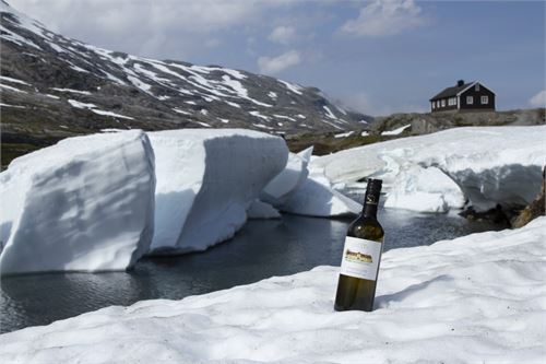 Bild 4 · Weinviertel DAC am Passübergang zum Geirangerfjord, Südnorwegen