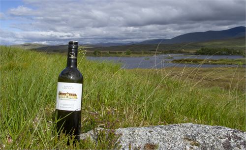 Bild 12 · Weinviertel DAC in den schottischen Highlands