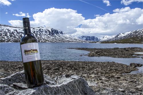 Bild 7 · Weinviertel DAC an einem Bergsee zwischen Groti und Geiranger, Südnorwegen