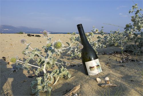 Bild 13 · Strand von Vinglavia, Peloponnes