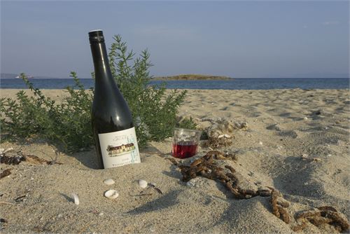 Bild 14 · Strand von Vinglavia, Peloponnes