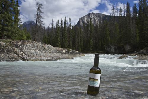 Bild 17 · Weinviertel DAC am Natural Bridge, Yoho National Park, Britisch Columbia, Kanada 