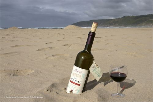 Bild 21 · Vranac Pro Corde 2004 an der Wilderness Beach Front in Südafrika