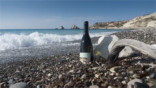 Bild 22 · Weinviertel DAC am Geburtsort der Schaumgeborenen Aphrodite, Zypern