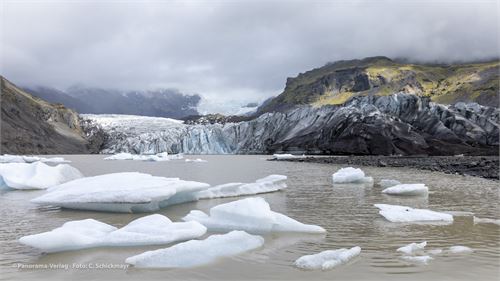 Bild 68 · Eisberge im Fjallsarlón