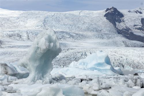 Bild 70 · Eisberge im Fjallsarlón
