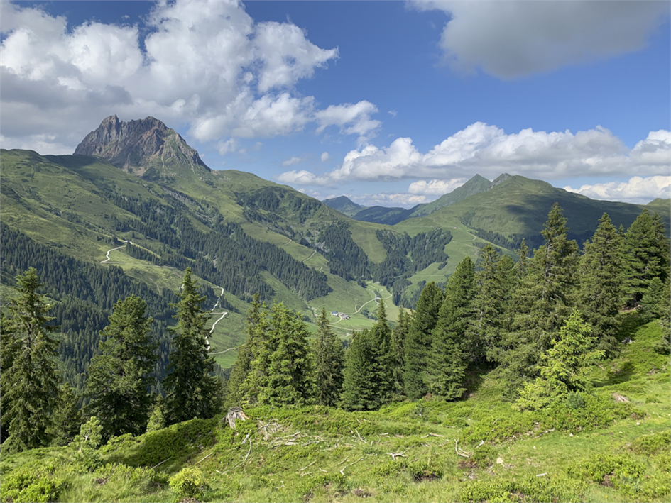 Tour 30: Wildkogelrunde Kitzbüheler Alpen · 80 km, 2280 hm
